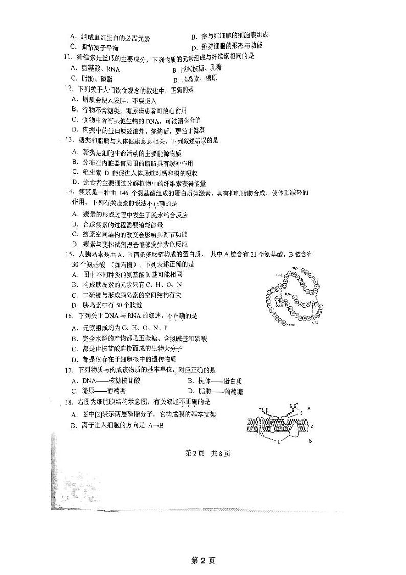 北京市第五十五中学2024-2025学年高一上学期期中考试生物试卷第2页