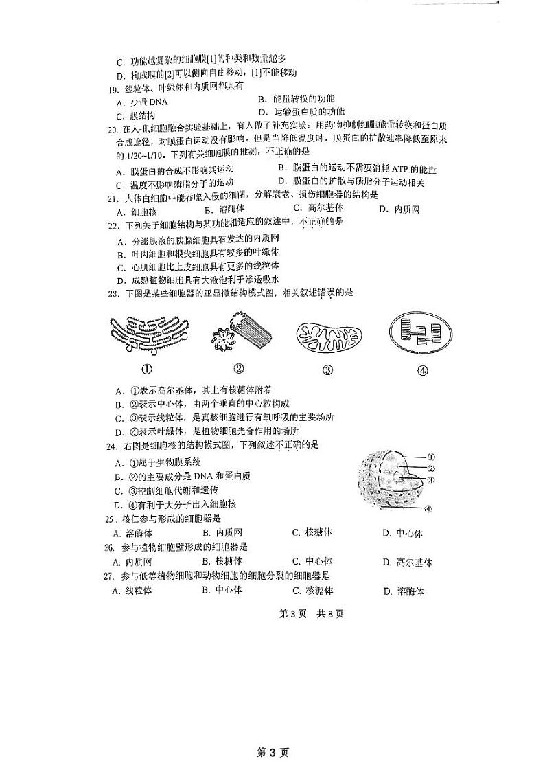 北京市第五十五中学2024-2025学年高一上学期期中考试生物试卷第3页