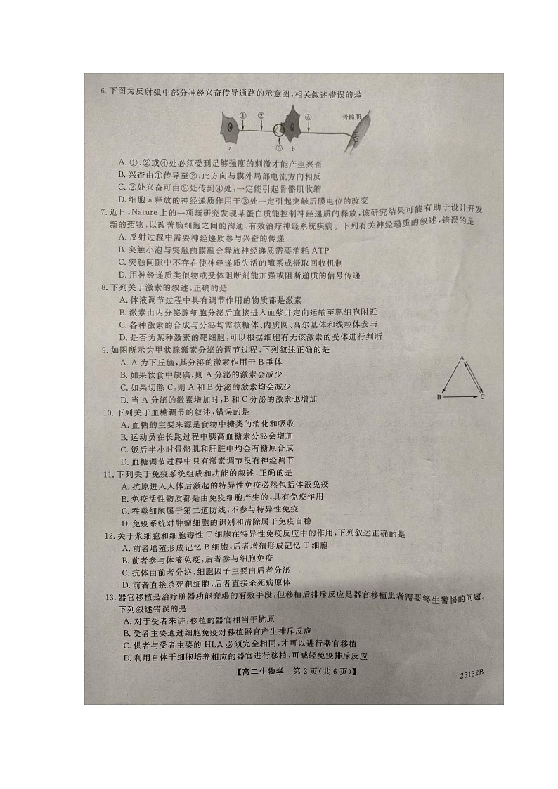 河南省平顶山市叶县高级中学2024-2025学年高二上学期10月月考生物试卷 第2页
