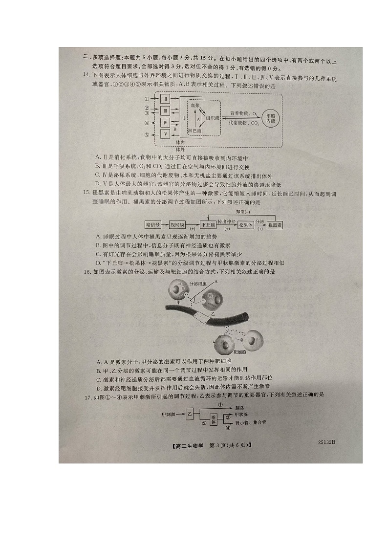 河南省平顶山市叶县高级中学2024-2025学年高二上学期10月月考生物试卷 第3页