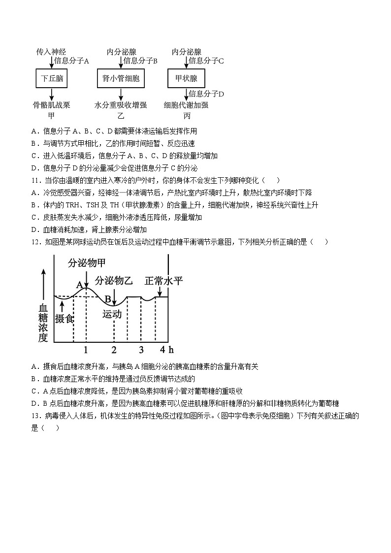 云南省文山州富宁上海新纪元实验学校2024-2025学年高二上学期期中考试生物试卷第3页