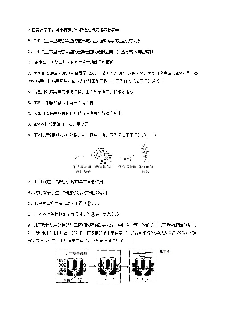 四川省达州市达川区铭仁园学校2024-2025学年高一上学期第一次月考生物试题第3页