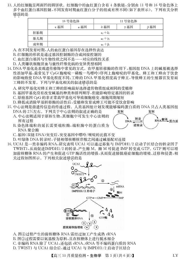 生物丨九师联盟陕晋青宁2025届高三10月质量检测生物试卷及答案第3页
