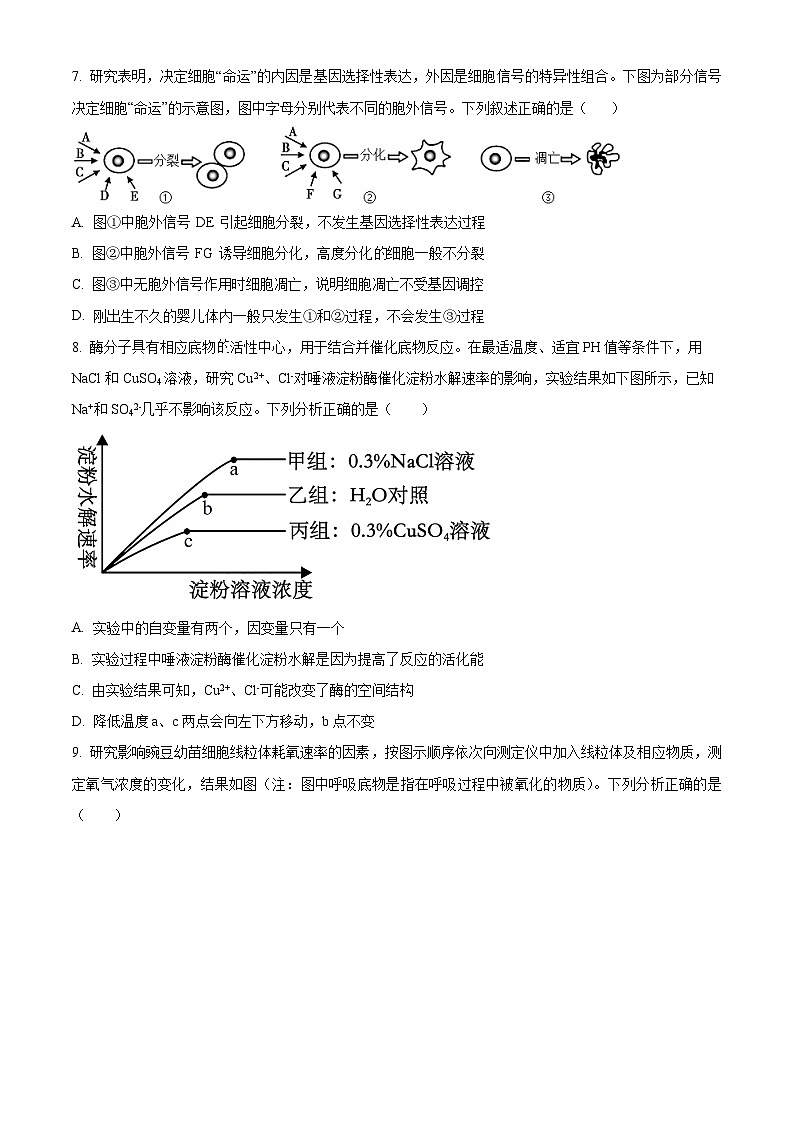 四川省成都市成华区成都列五中学2024-2025学年高三上学期9月月考生物试题  Word版无答案第3页