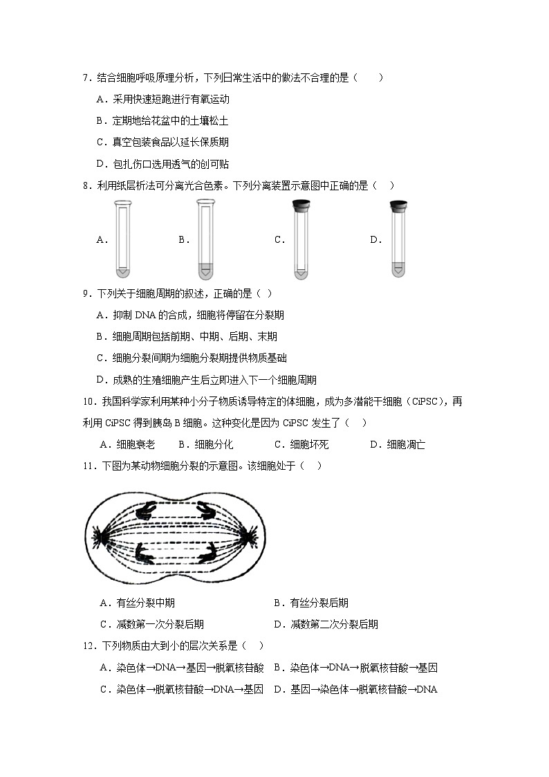 2024年北京市第二次普通高中学业水平合格性考试生物试卷第2页