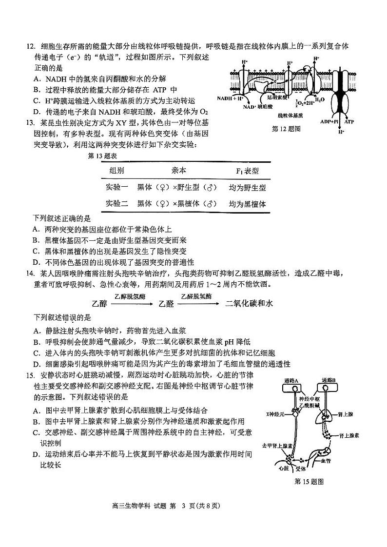 【浙江卷】浙江省2024学年第一学期2025届浙南名校联盟（原温州九校联盟）高三第一次联考暨10月联考（10.6-10.8）                        生物试卷第3页
