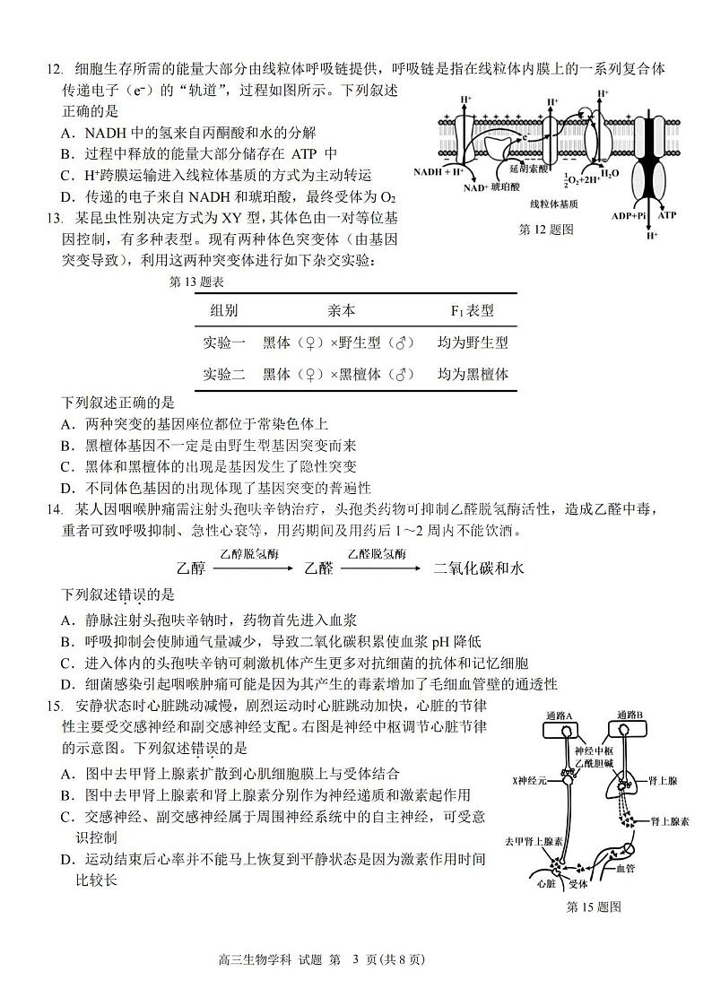 生物卷-2410高三浙南名校联盟第3页