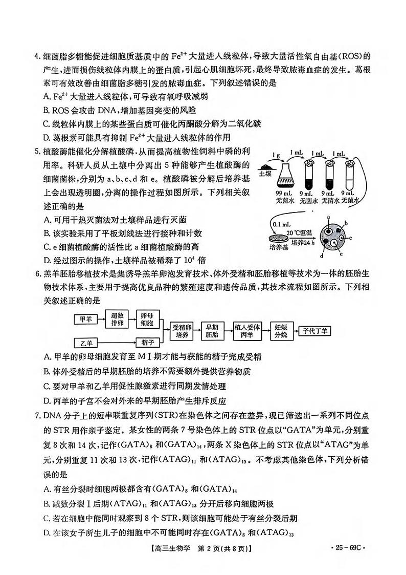 生物丨金太阳（25-69C）广东省2025届高三10月大联考生物试卷及答案第2页