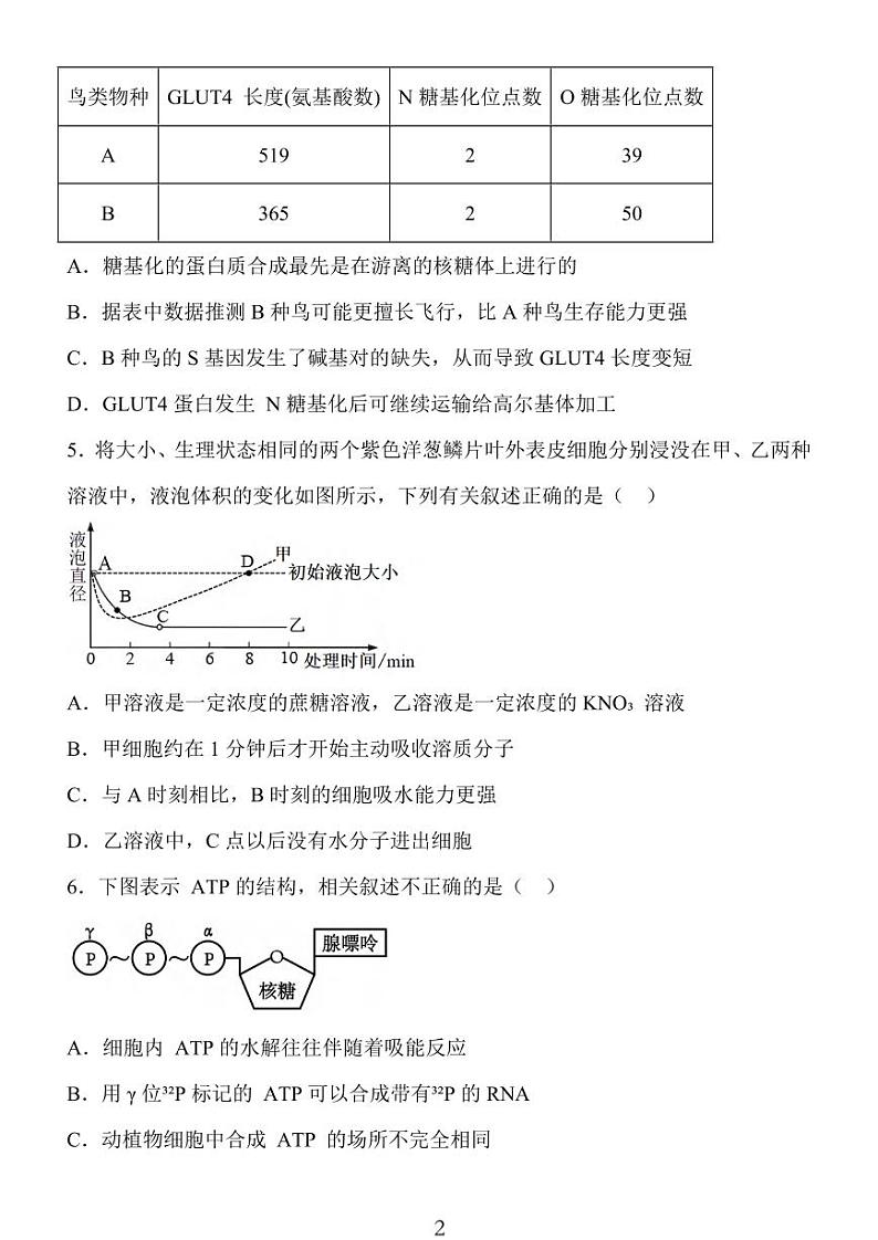 生物丨金太阳百校联考（25-71C）江苏省2025届高三10月联考生物试卷及答案第2页