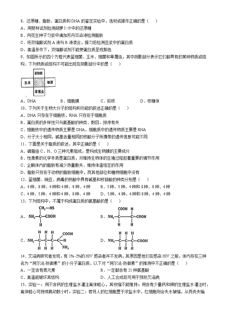 广东省揭阳市揭东区第三中学2024-2025学年高一上学期10月期中考试生物试题(无答案)第2页