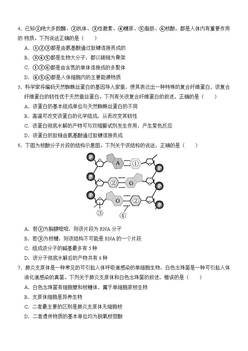 广西壮族自治区贵百河-武鸣高中2024-2025学年高一上学期10月月考生物试题（Word版附解析）第2页