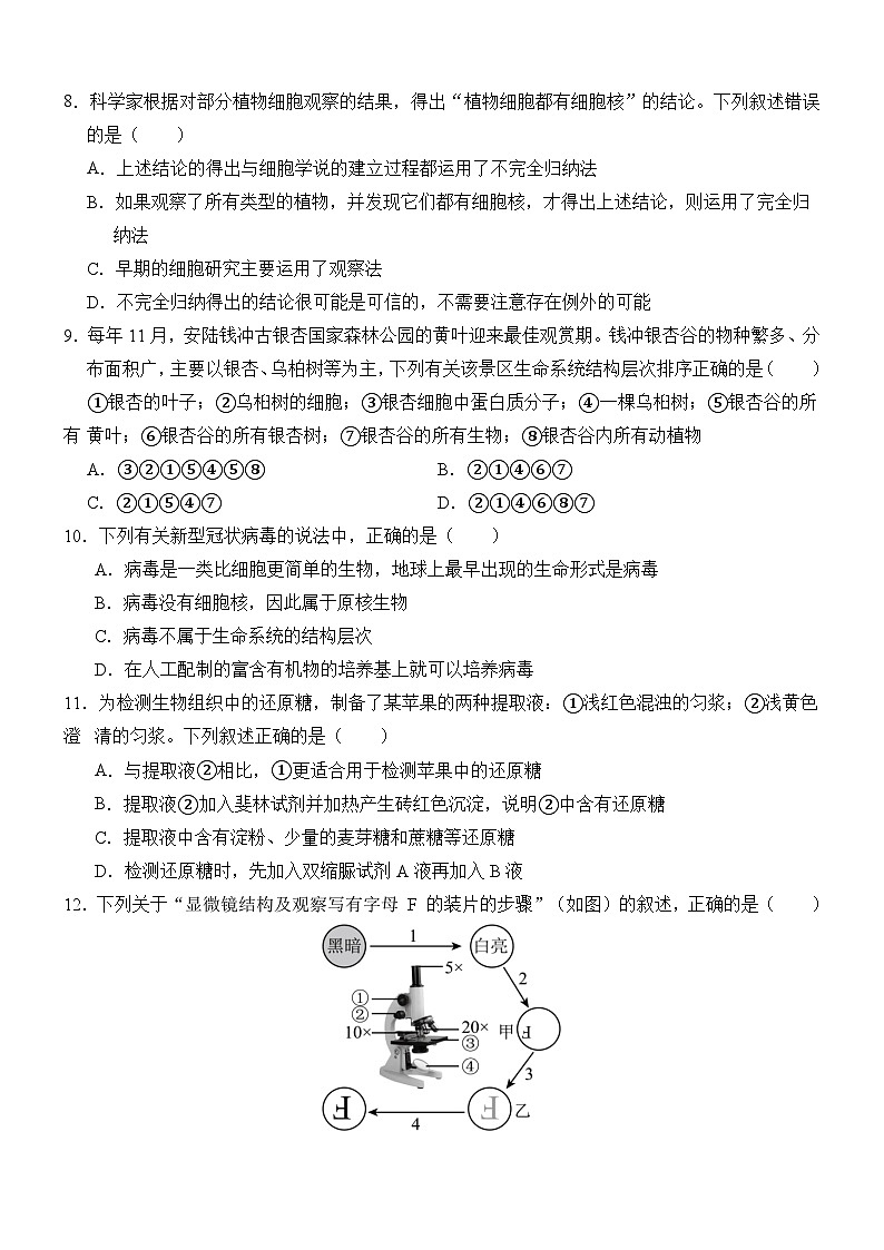 广西壮族自治区贵百河-武鸣高中2024-2025学年高一上学期10月月考生物试题（Word版附解析）第3页