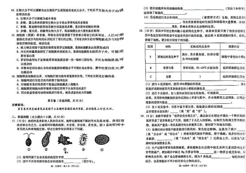 贵州省贵阳市2024-2025学年高一上学期10月联合考试（一）生物试题（PDF版附解析）第3页