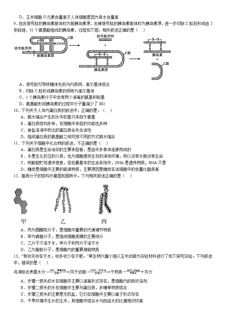河南省许昌高级中学2024-2025学年高一上学期10月月考生物试题（Word版附解析）第3页