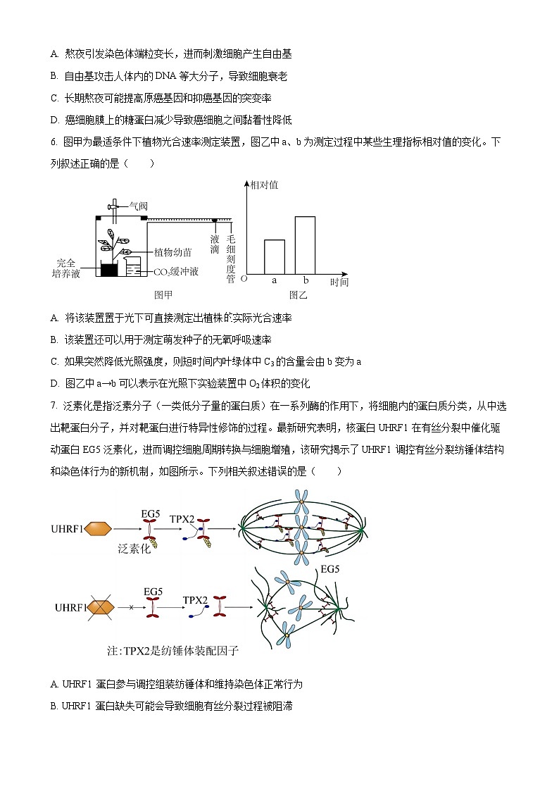 黑龙江省哈尔滨市第九中学2024-2025学年高三上学期期中考试生物试题（Word版附答案）02