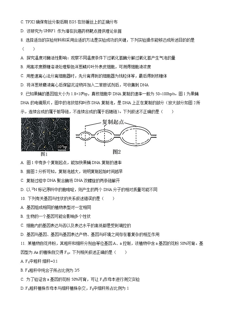 黑龙江省哈尔滨市第九中学2024-2025学年高三上学期期中考试生物试题（Word版附答案）03
