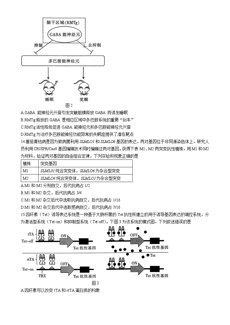 广东省湛江市2024-2025学年高三上学期10月期中调研生物试题(无答案)第3页