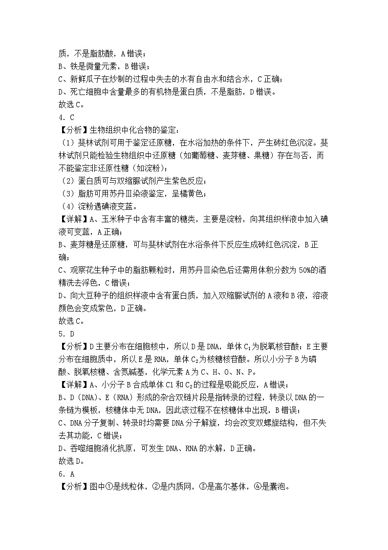 广东省深圳外国语学校龙华高中部2024-2025学年高三上学期第二次月考生物试题02