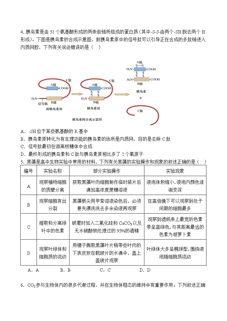 广东省深圳外国语学校龙华高中部2024-2025学年高三上学期第三次月考生物试题第2页