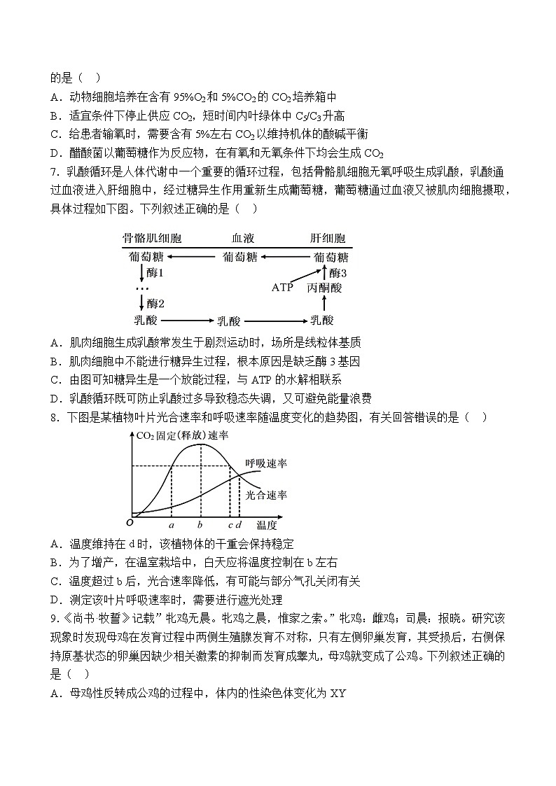 广东省深圳外国语学校龙华高中部2024-2025学年高三上学期第三次月考生物试题第3页
