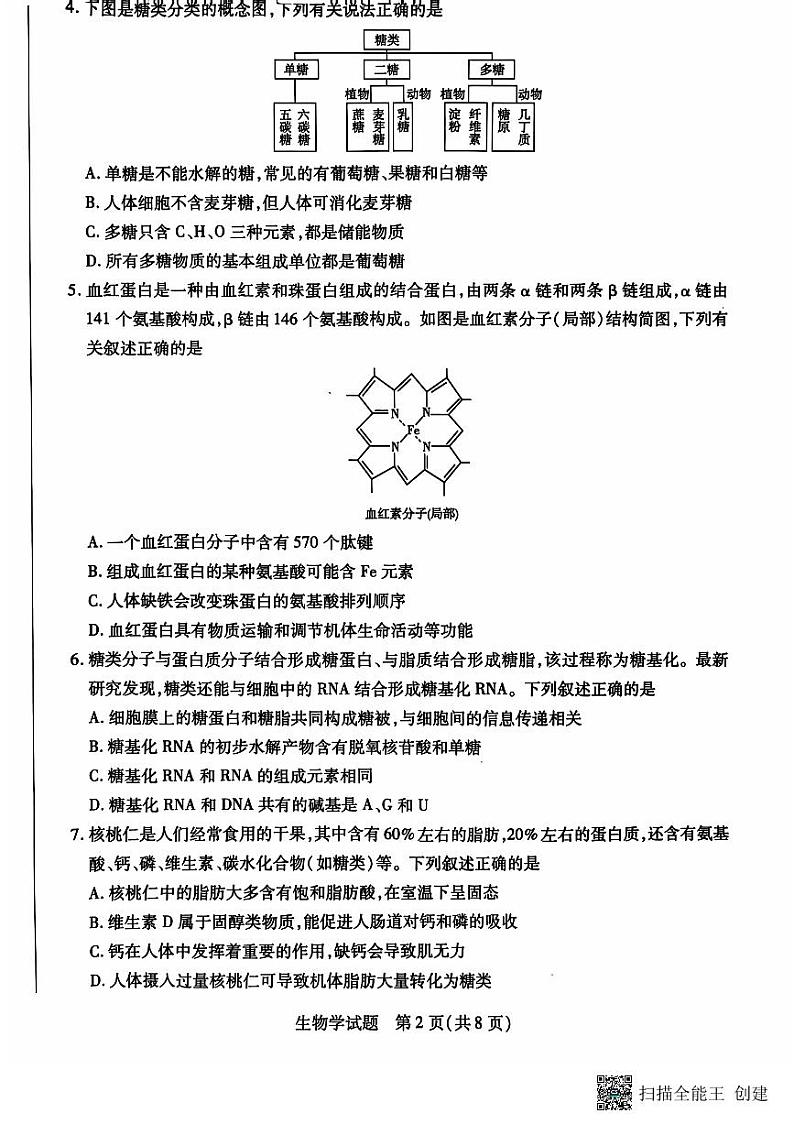 河南省南阳市六校2024-2025学年高一上学期10月期中考试生物试题02