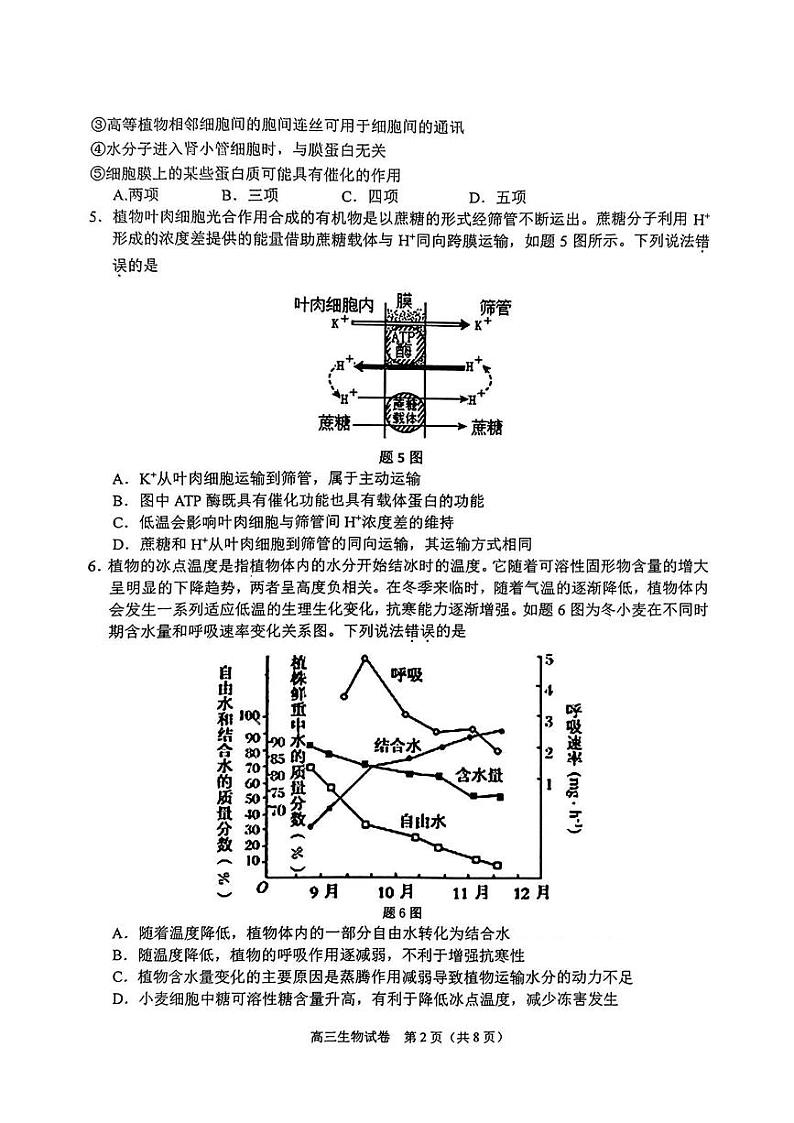 重庆市2024-2025学年高三上学期10月期中生物试题02