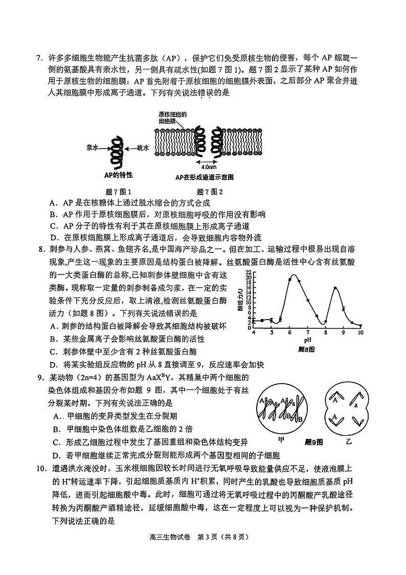 重庆市2024-2025学年高三上学期10月期中生物试题03