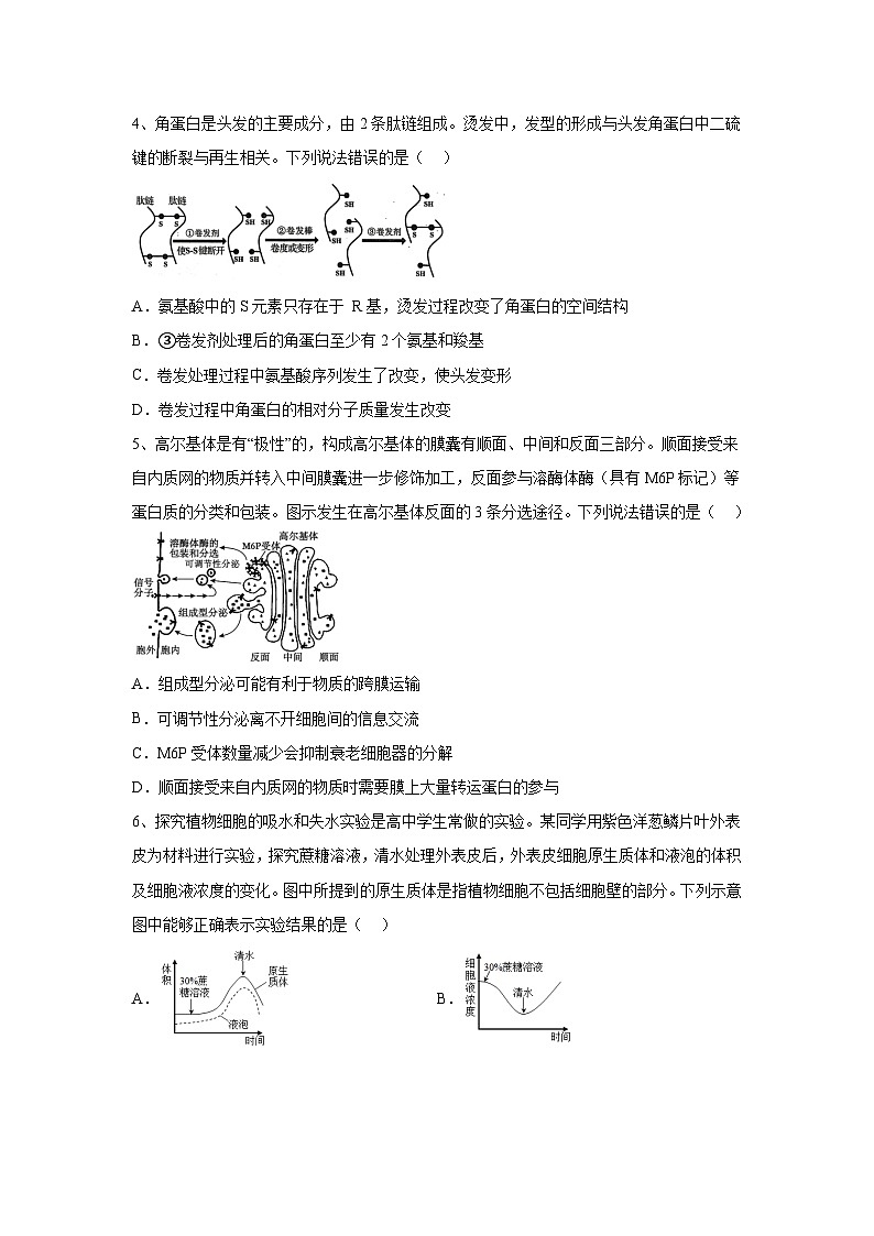 25届高三10月月考生物试题第2页