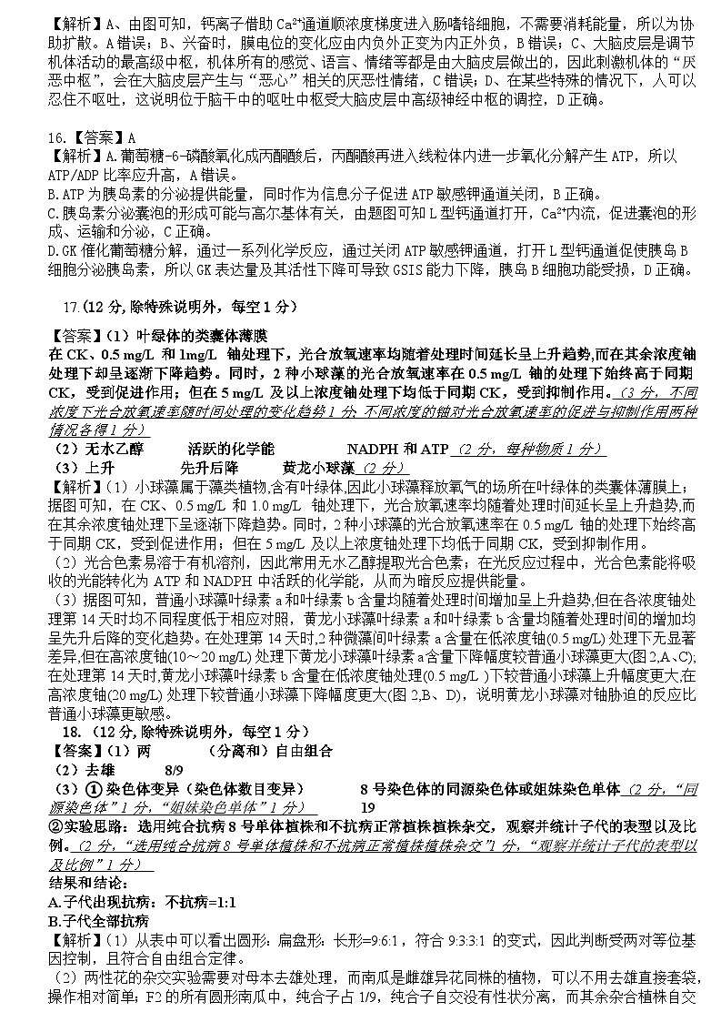 答案解析第3页