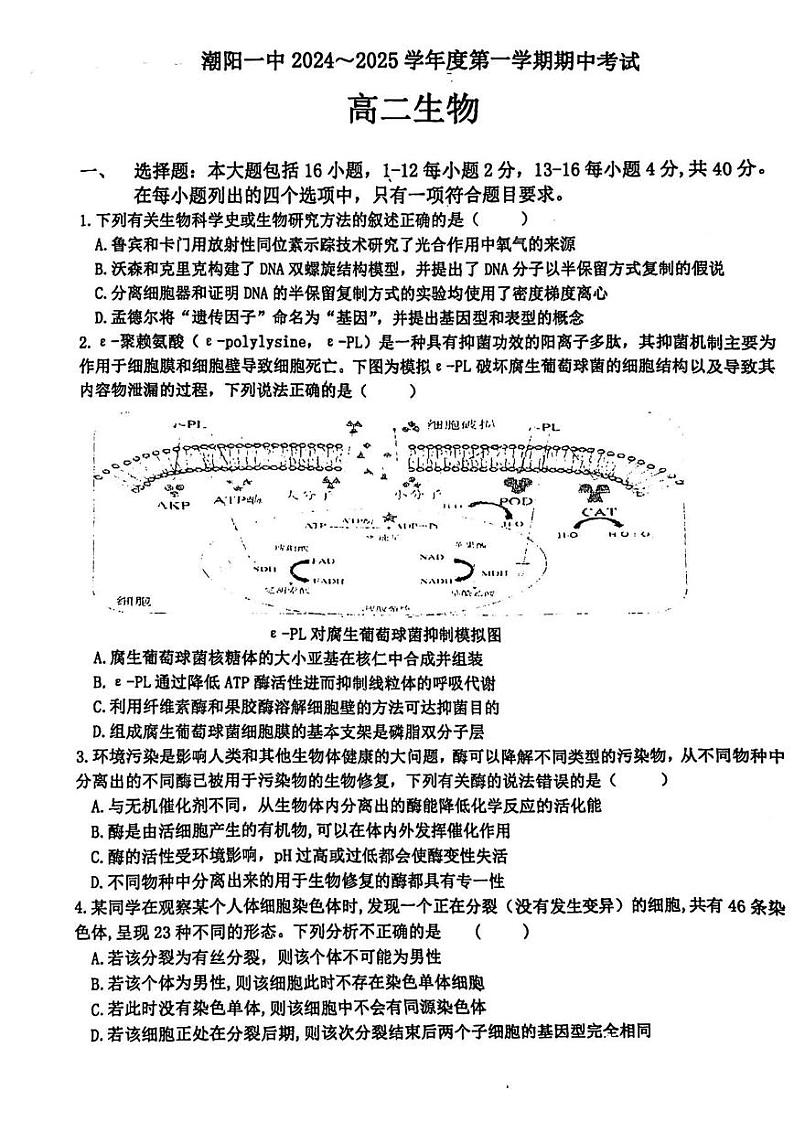 潮阳一中2024-2025学年度高二期中考试生物学试题第1页