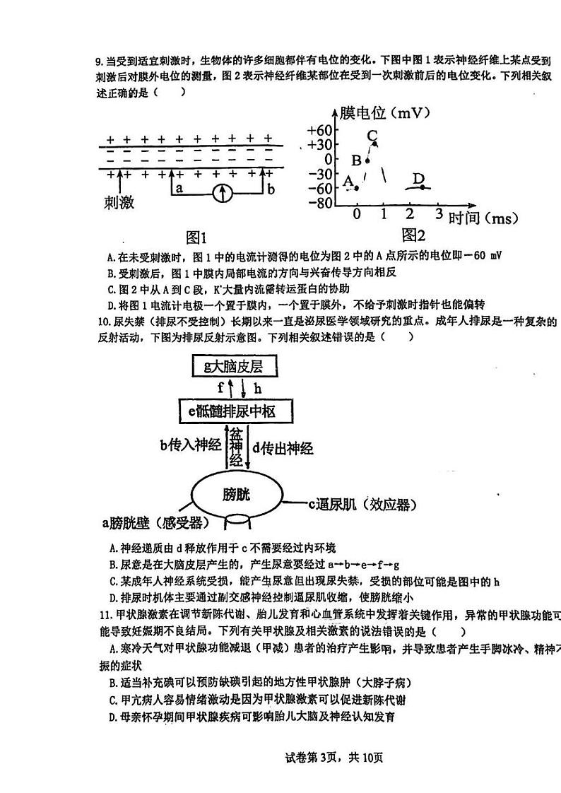 潮阳一中2024-2025学年度高二期中考试生物学试题第3页