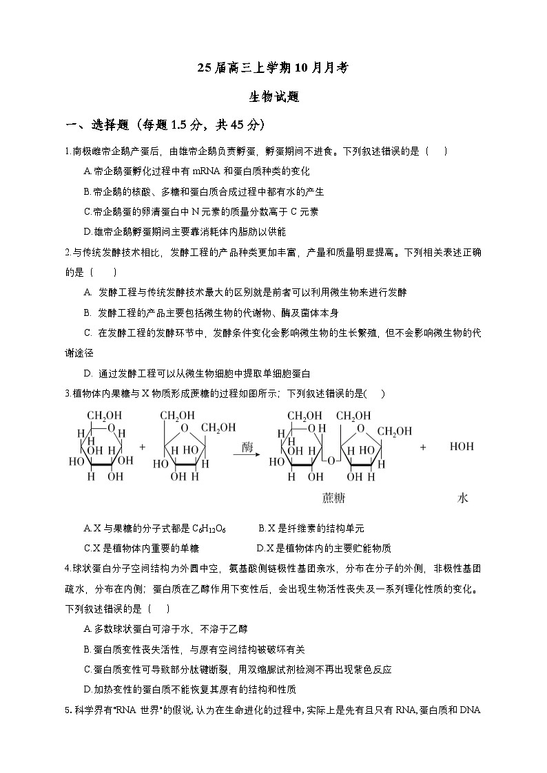 四川省眉山市仁寿县第一中学校（北校区）2024-2025学年高三上学期10月月考生物试题第1页