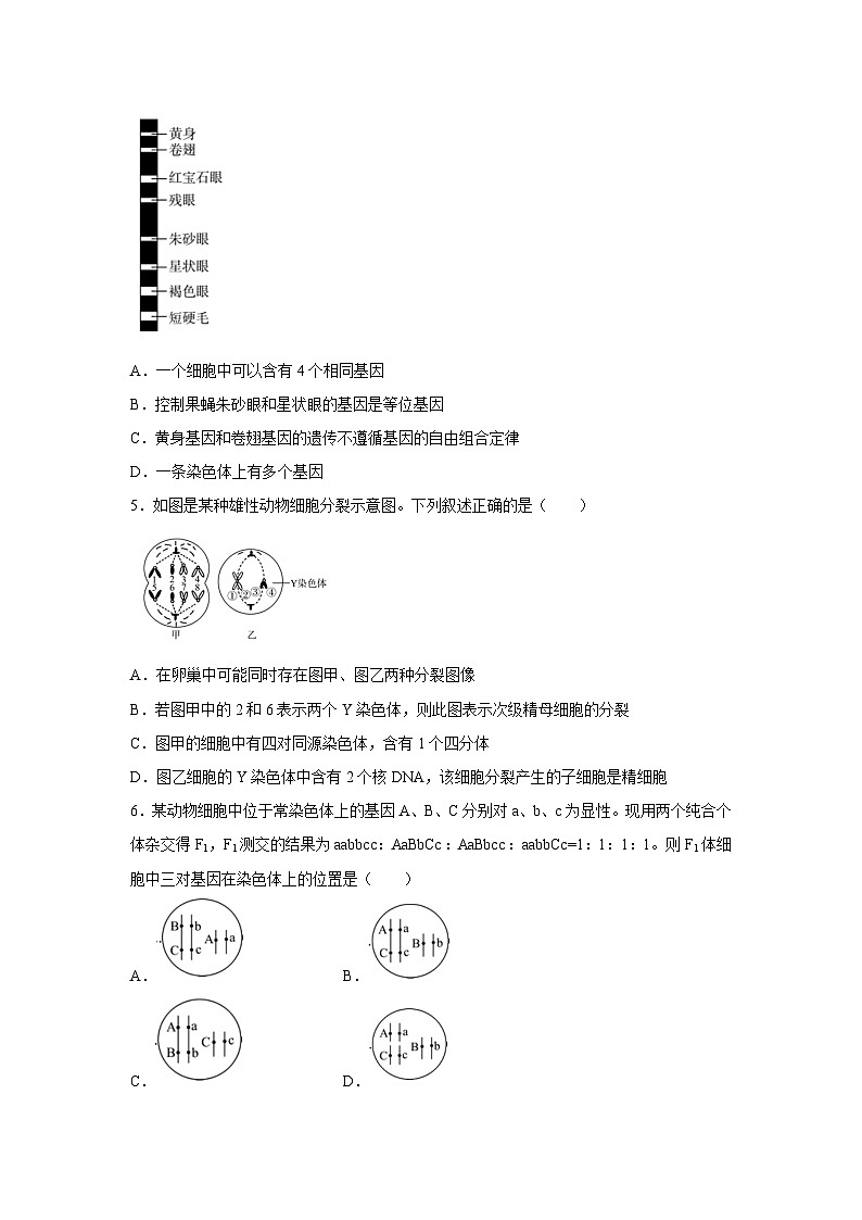 山东省2023-2024学年高一下学期6月期末大联考生物试卷（解析版）第2页