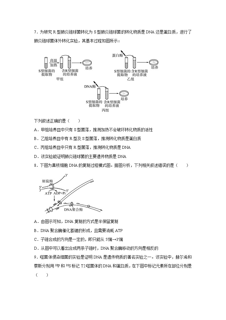 山东省2023-2024学年高一下学期6月期末大联考生物试卷（解析版）第3页