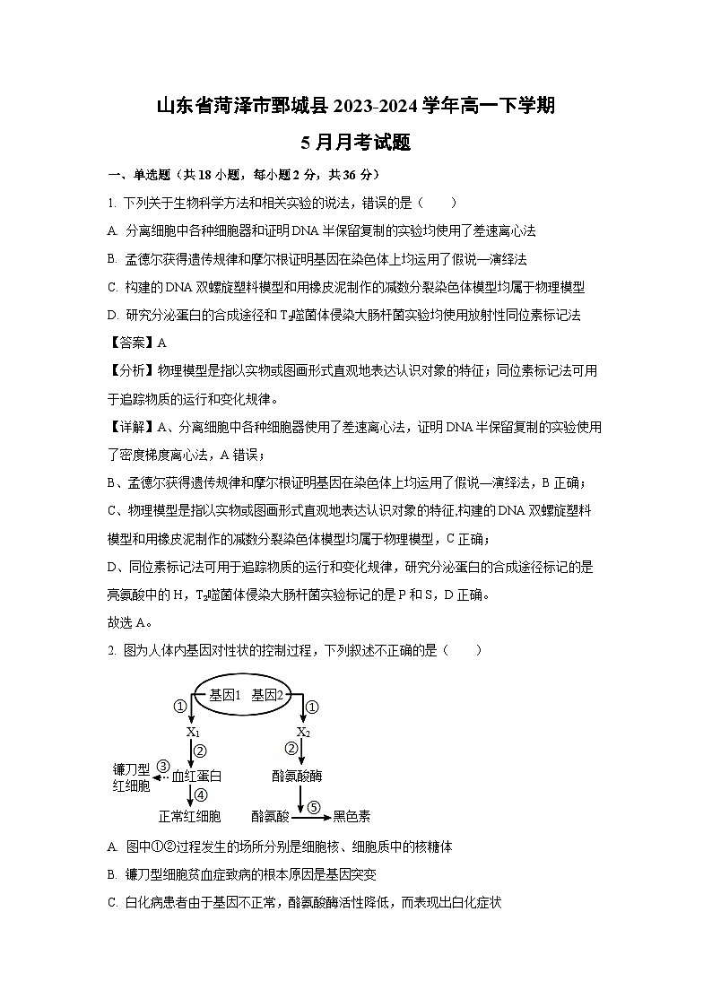 山东省菏泽市鄄城县2023-2024学年高一下学期5月月考生物试卷（解析版）第1页