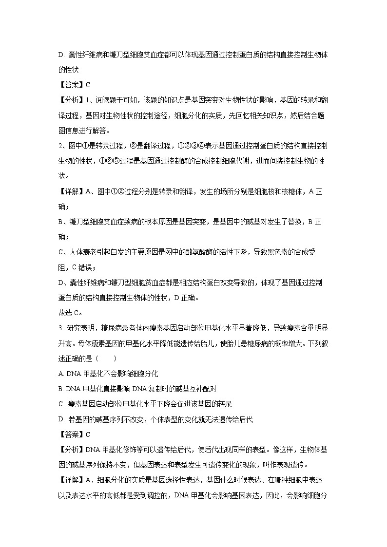 山东省菏泽市鄄城县2023-2024学年高一下学期5月月考生物试卷（解析版）第2页