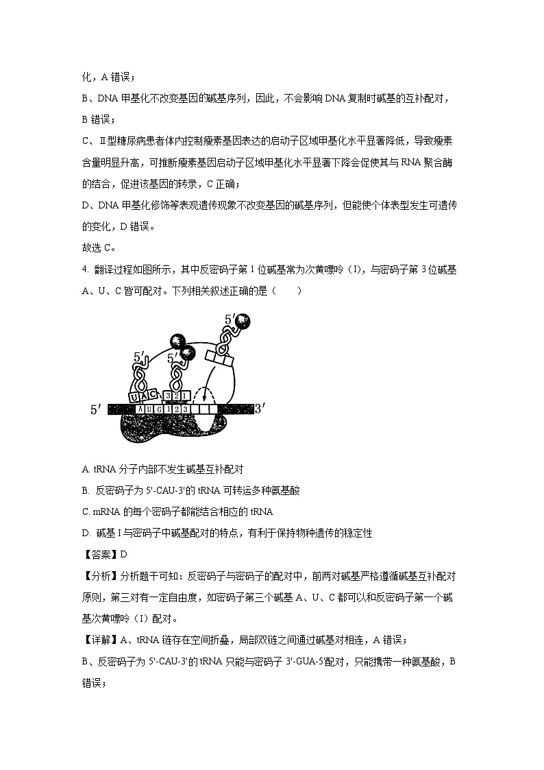 山东省菏泽市鄄城县2023-2024学年高一下学期5月月考生物试卷（解析版）第3页