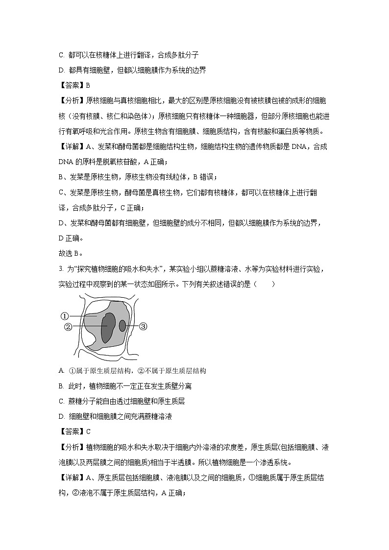 河北省邯郸市2023-2024学年高二下学期期末考试生物试卷（解析版）02