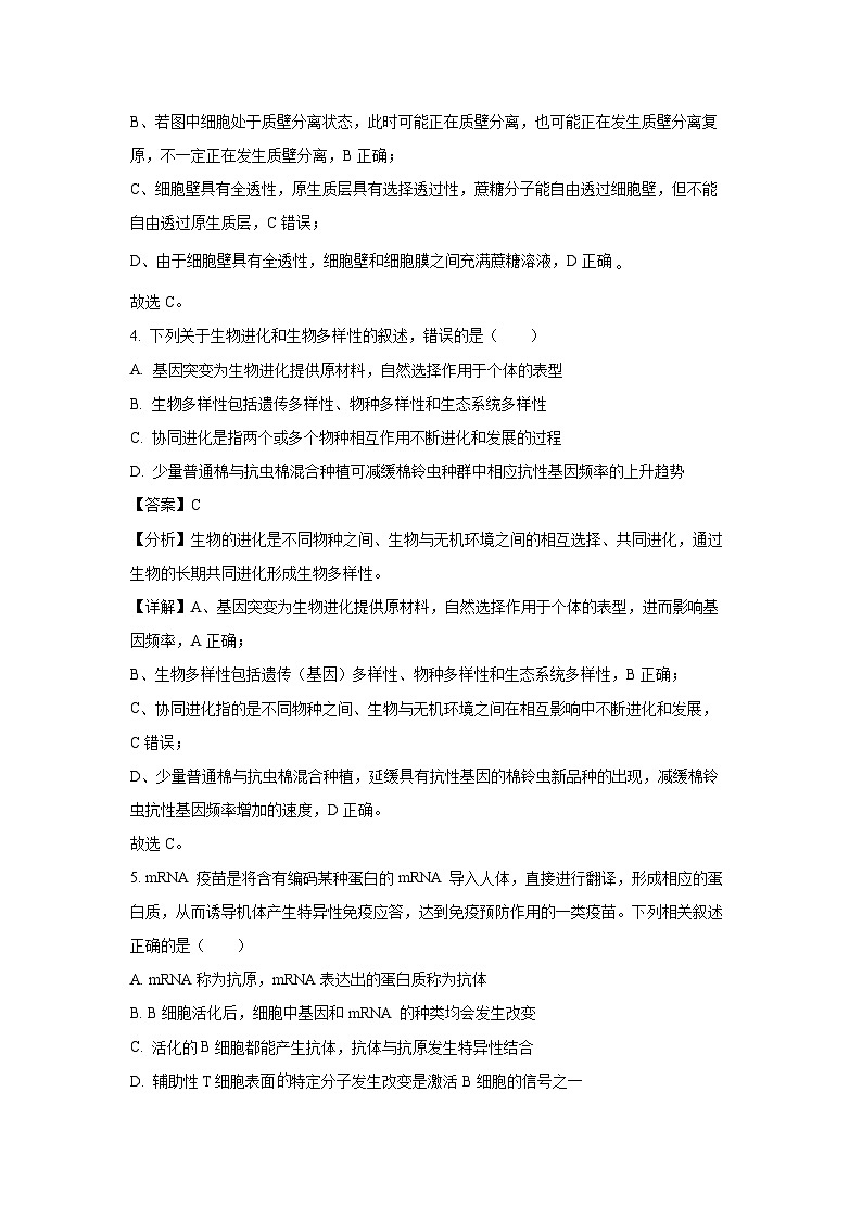 河北省邯郸市2023-2024学年高二下学期期末考试生物试卷（解析版）03