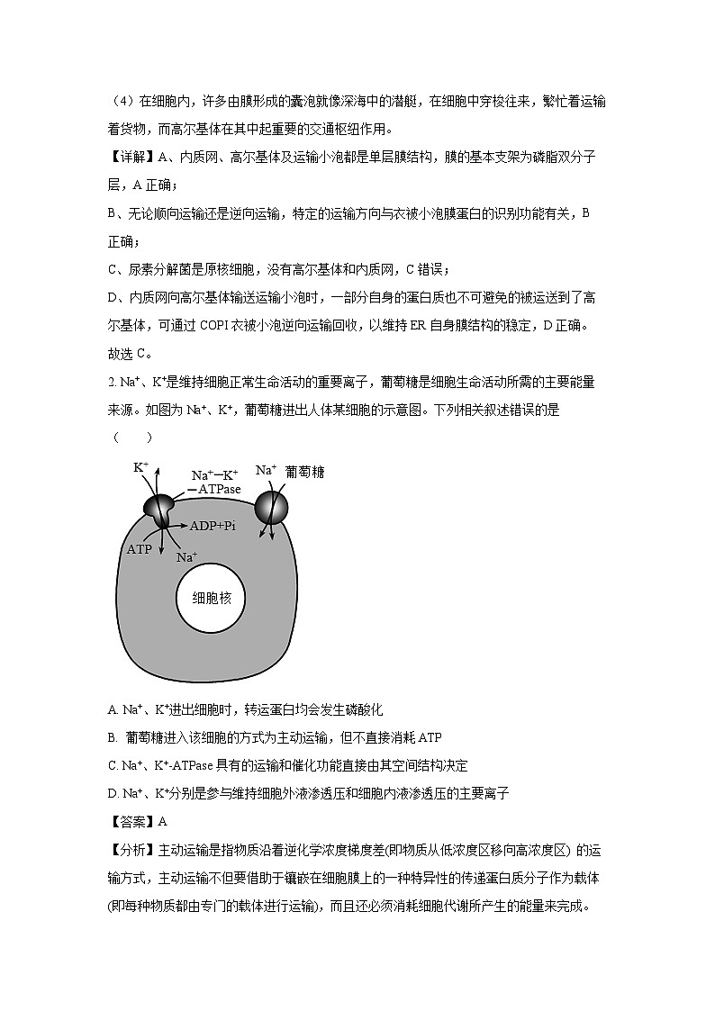 江西省多校联考2023-2024学年高二下学期6月摸底考试生物试卷（解析版）第2页