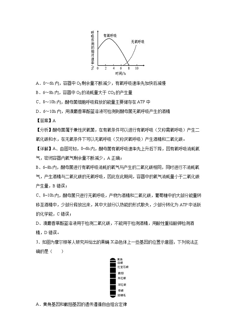 2024年高考考前冲刺卷01——福建专用生物试卷（解析版）第2页