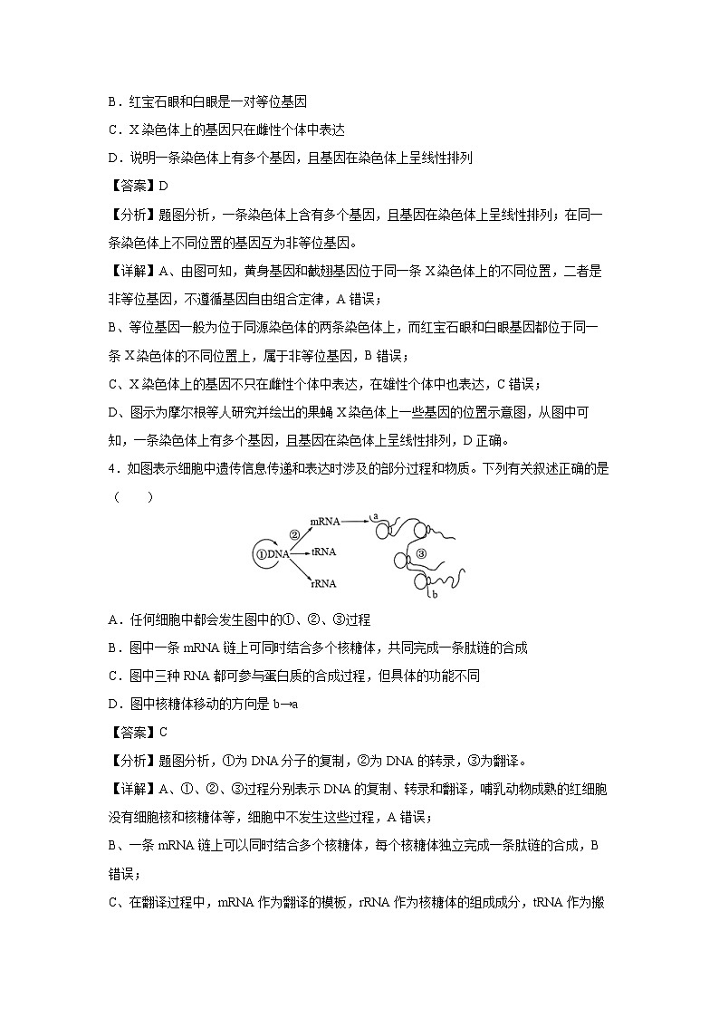 2024年高考考前冲刺卷01——福建专用生物试卷（解析版）第3页