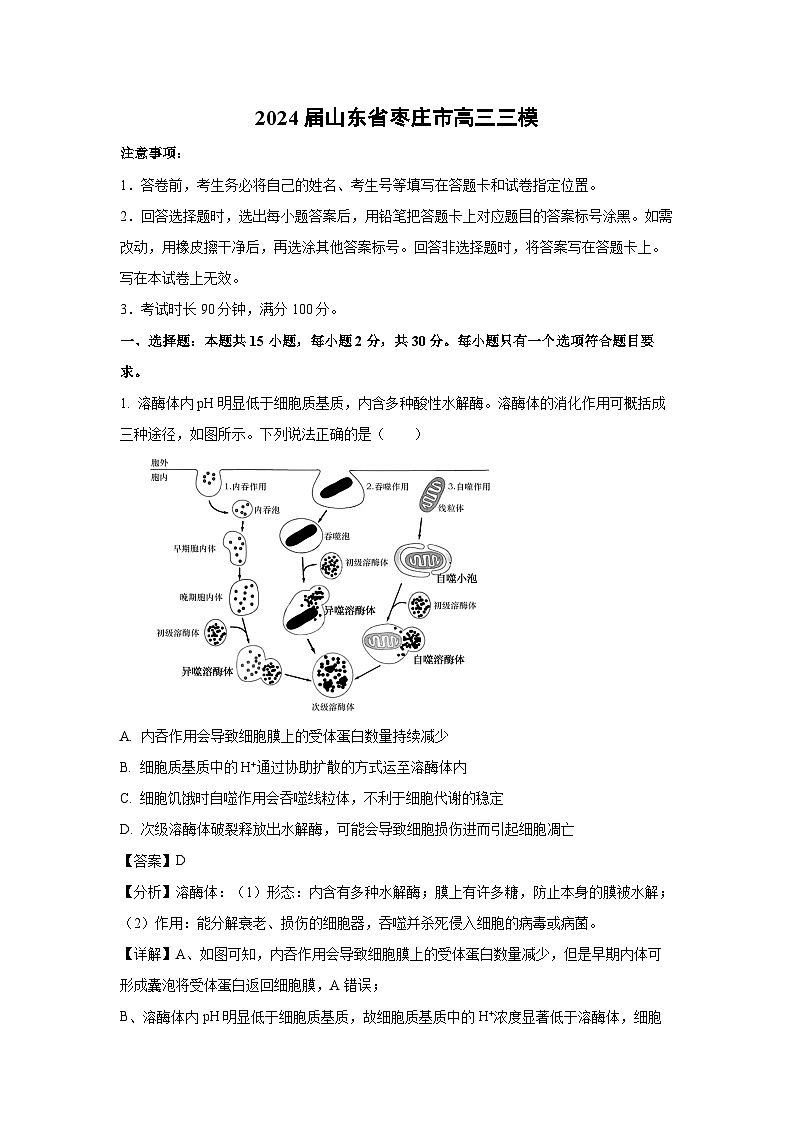 2024届山东省枣庄市高三三模生物试卷（解析版）第1页