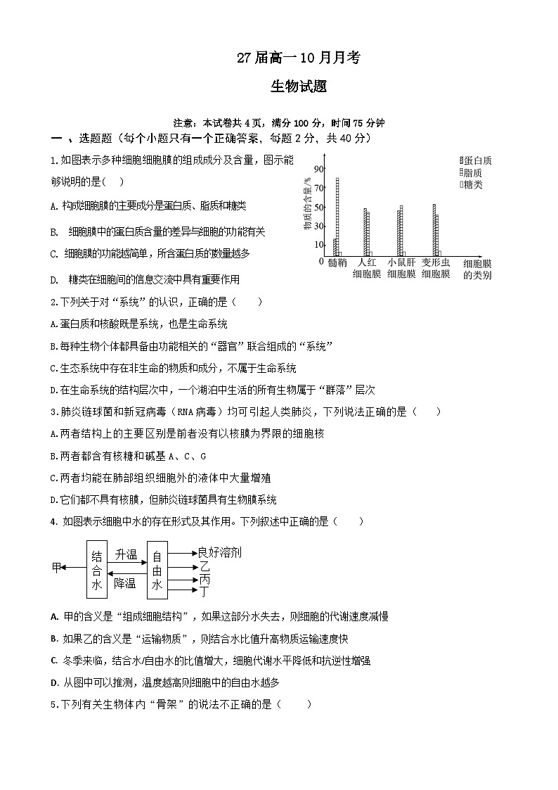 四川省眉山市仁寿县第一中学校（北校区）2024-2025学年高一上学期10月月考生物试题第1页