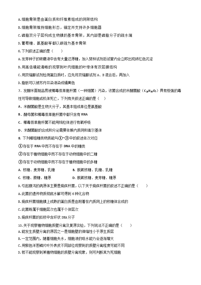 四川省眉山市仁寿县第一中学校（北校区）2024-2025学年高一上学期10月月考生物试题第2页