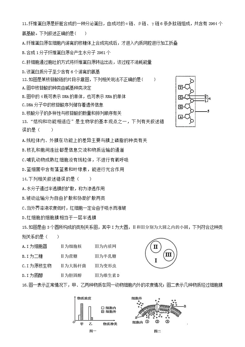 四川省眉山市仁寿县第一中学校（北校区）2024-2025学年高一上学期10月月考生物试题第3页