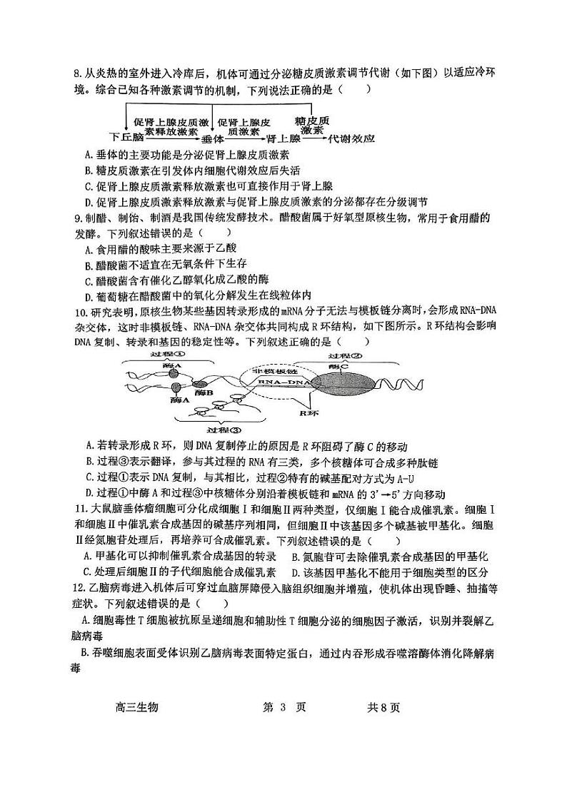 内蒙古自治区赤峰市松山区2024-2025学年高三上学期10月多校联考生物试题03