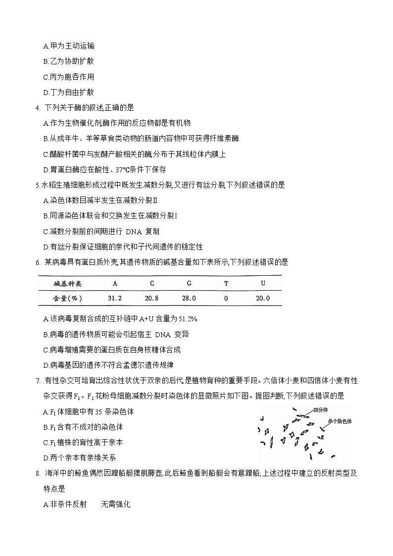 内蒙古锡林郭勒盟2024~2025学年高三学年学年期中测试试卷生物学第2页