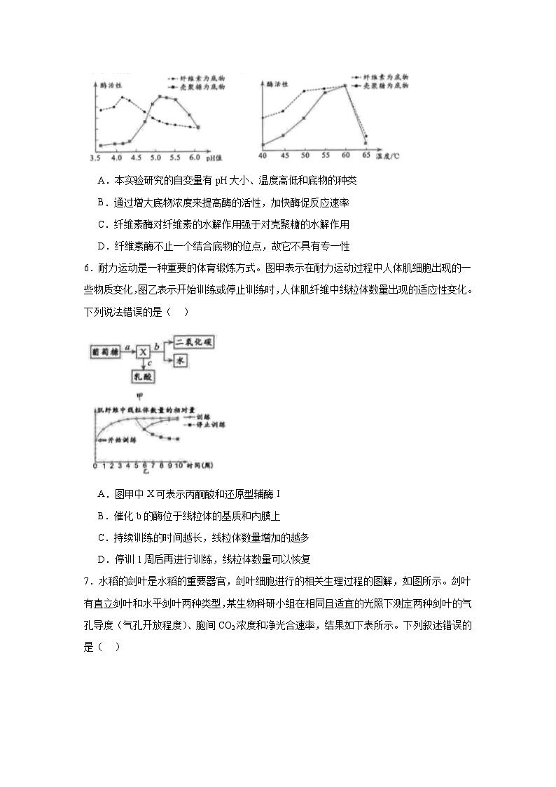 2025届四川省绵阳市高三第一次诊断性考试生物试卷第2页