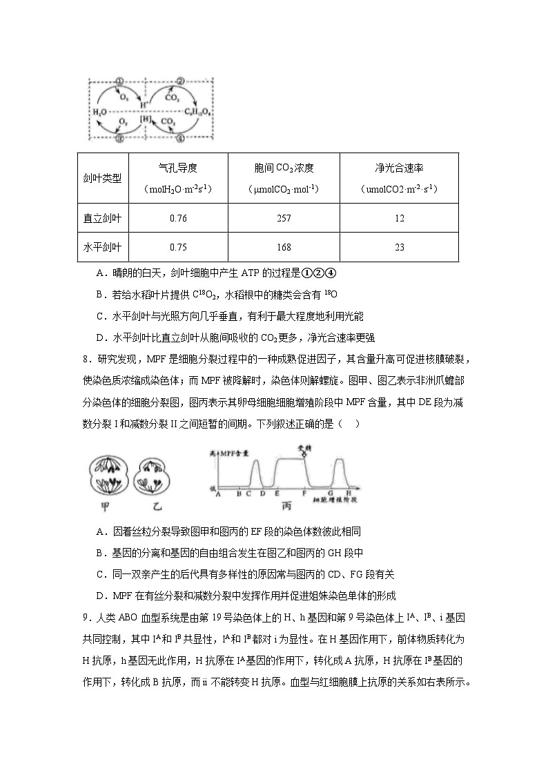 2025届四川省绵阳市高三第一次诊断性考试生物试卷第3页